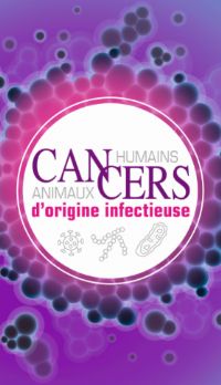Cancers humains et animaux d’origine infectieuse. Le jeudi 11 octobre 2018 à MARCY L'ETOILE. Rhone.  19H00
